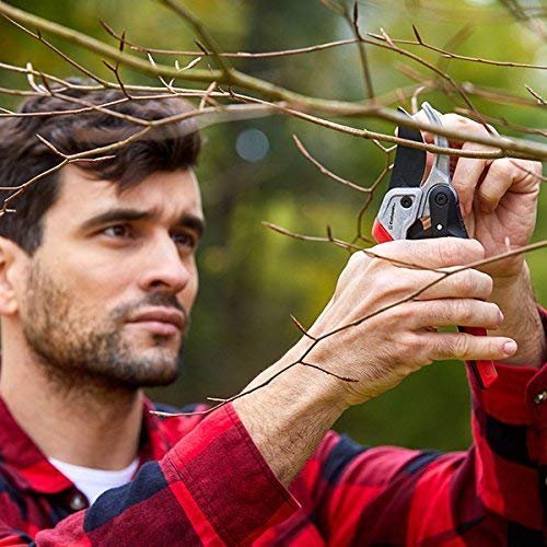 FELCO 31 Anvil Hand Pruner