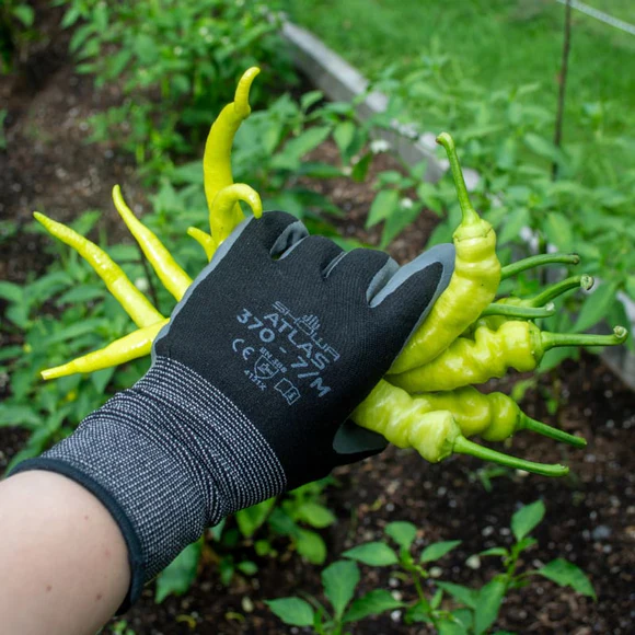 Atlas weeding gloves