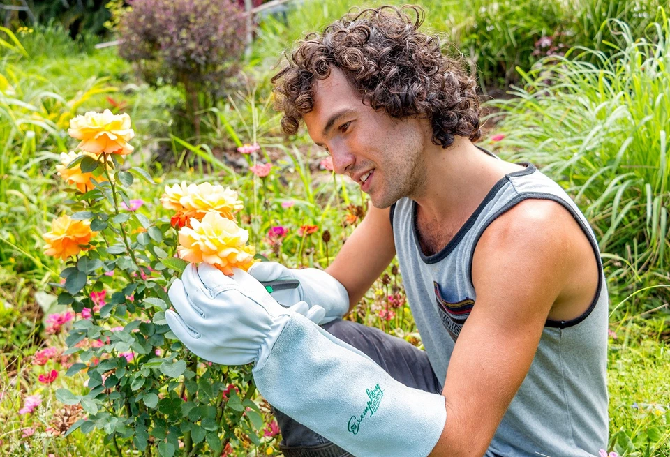 person wearing pruning gloves