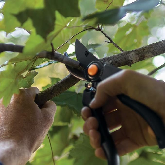 Fiskars Professional Bypass Pruning Shears