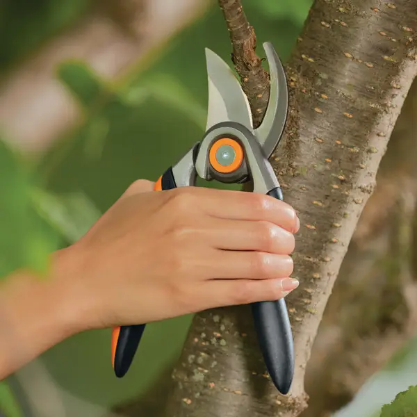 Fiskars Forged Bypass Pruner