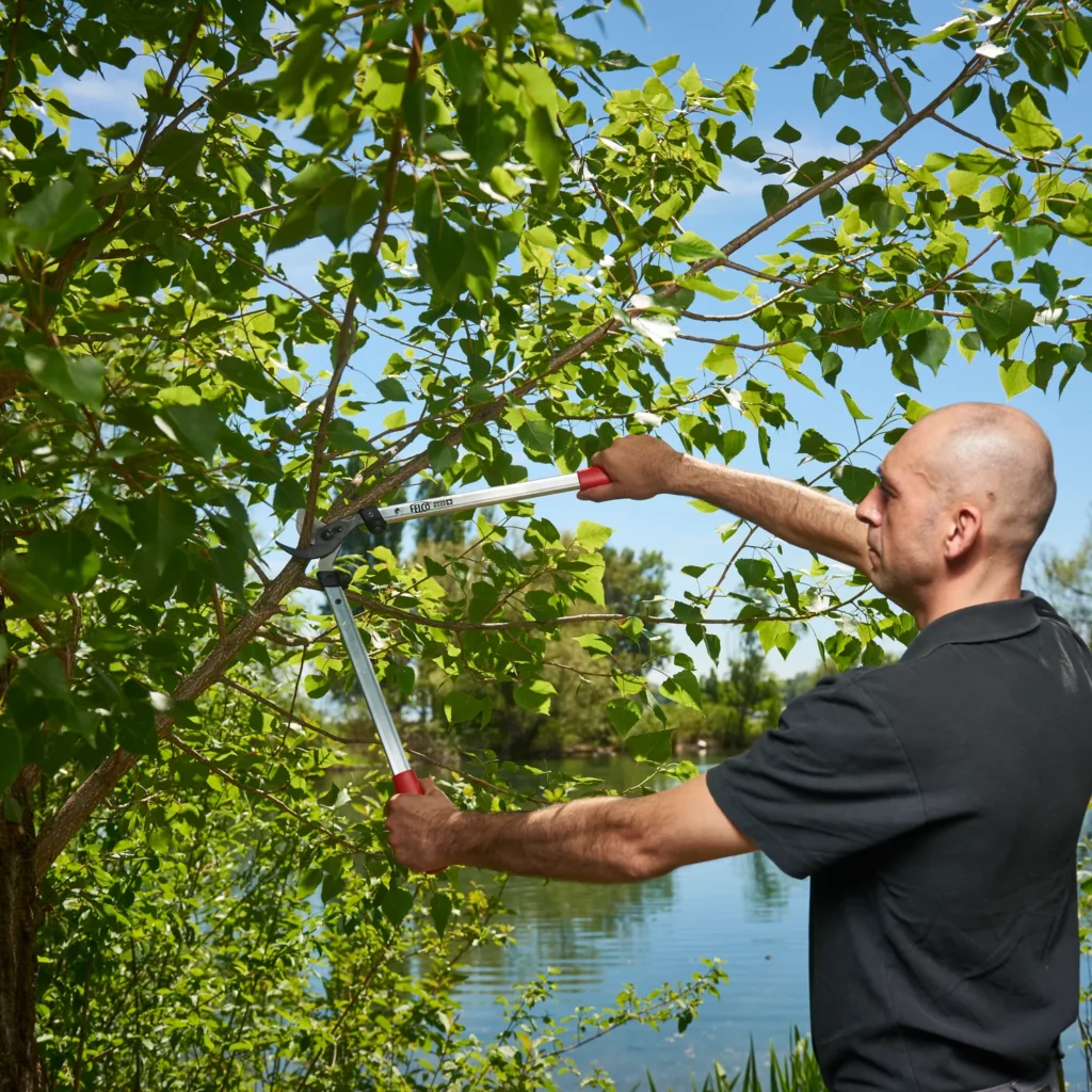 GardenGlove Felco Loppers in use