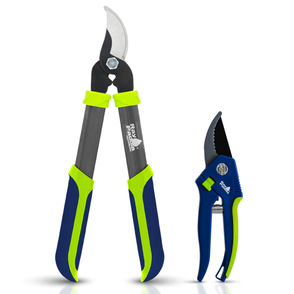 Ray Padula loppers and pruners