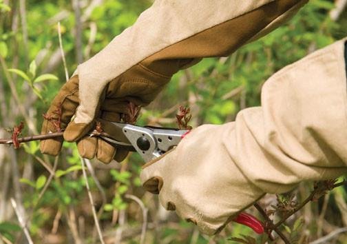 ladies waterproof garden gloves