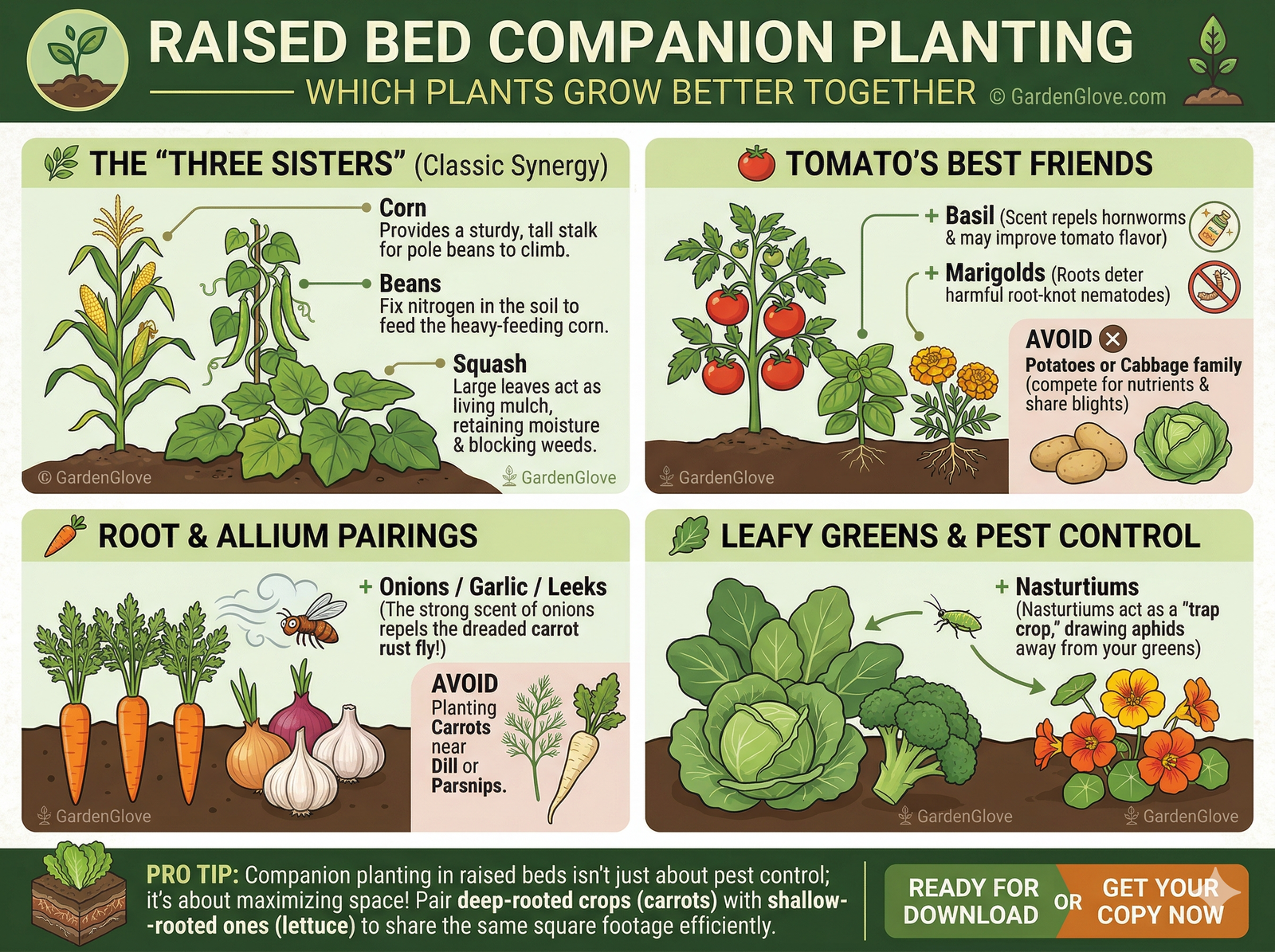 GardenGlove's Raised bed companion planting