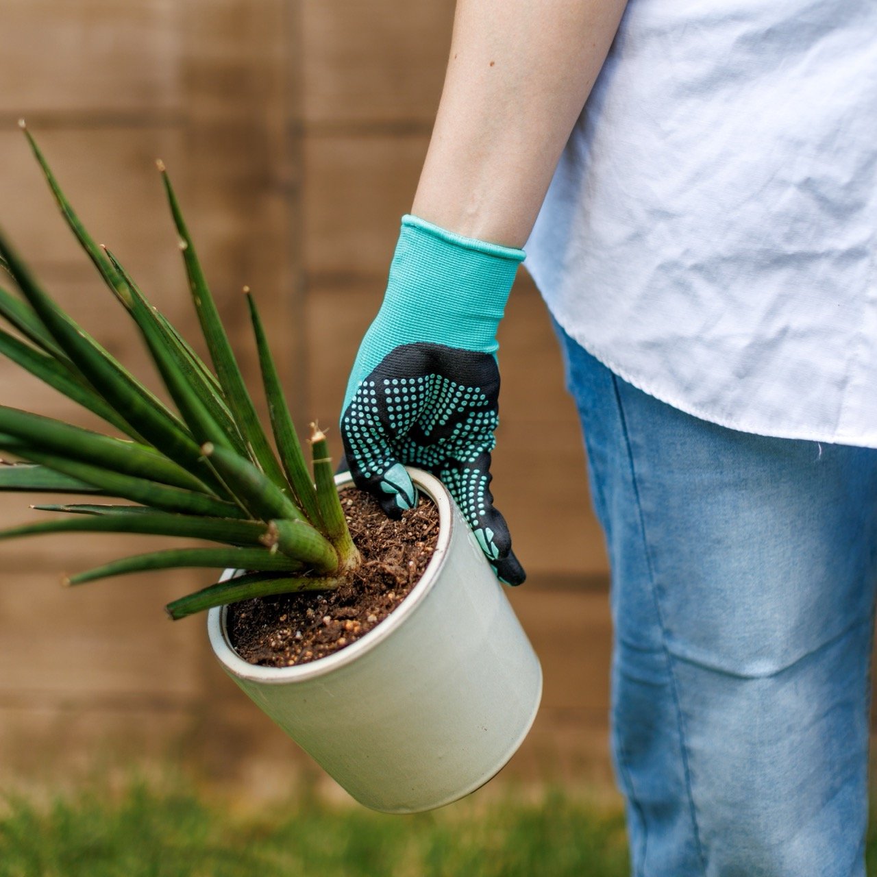 Person wearing nitrile garden gloves carrying a plant