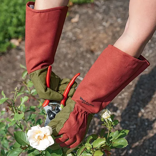 Rose and thorn resistance garden gloves