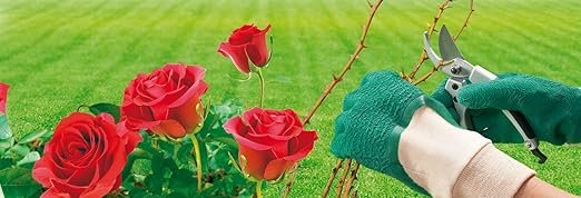 person trimming rose bushes in waterproof garden gloves