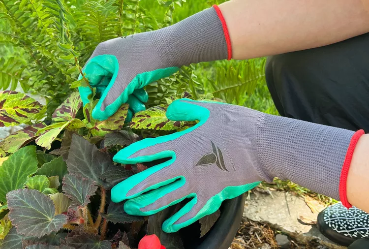 person wearing nitrile garden gloves