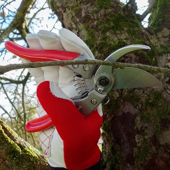 ARS HP-VS8Z Japanese professional bypass pruning shears