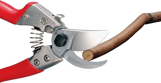 bypass pruning shears cutting wood