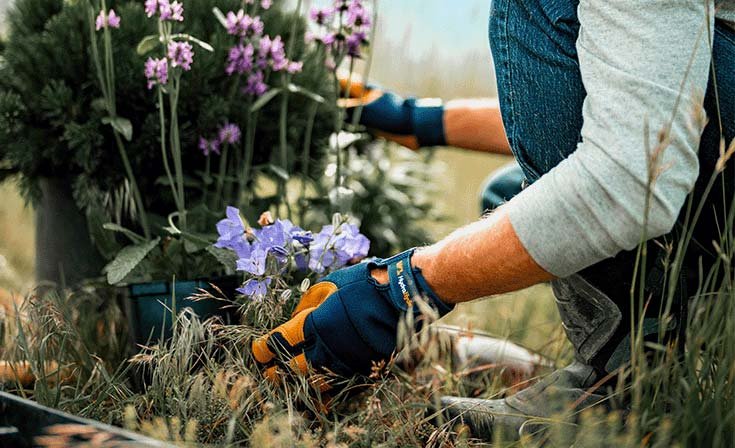 person wearing garden gloves in the garden