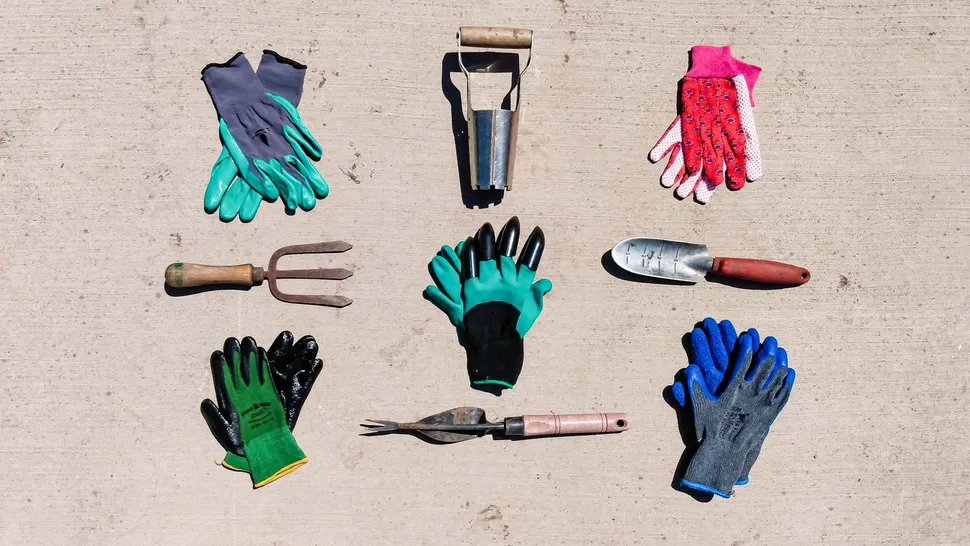 garden gloves and gardening tools in the same picture